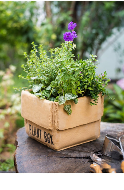 Just Arrived at Buy Center: Cement Brown Paper Box Flowerpot Creative Planting Indoor Balcony