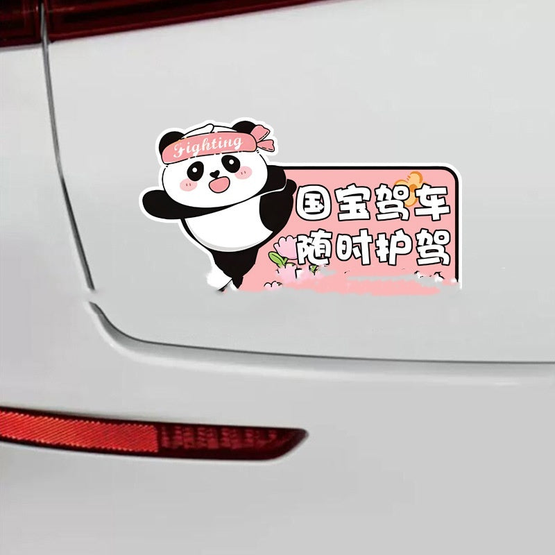 Newly Released at Buy Center: Female Driver Car Stickers For Beginner Driver