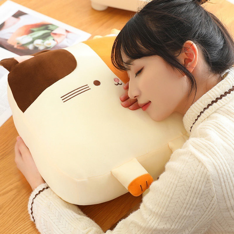 Hot New Items at Buy Center: Square Cat Pillow Sleeping Plush Doll