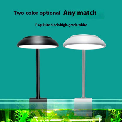 Just Arrived at Buy Center: Fish Tank Small Clip Light Mini Plug Lighting Straw Light Fill Light Transparent Clip Light