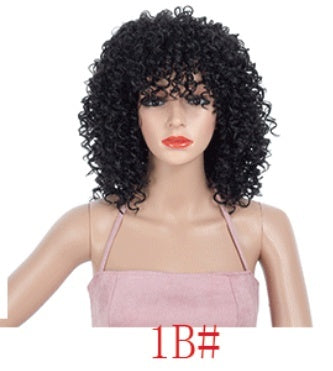 Wig Multicolor African Small Roll Afro Buy Center