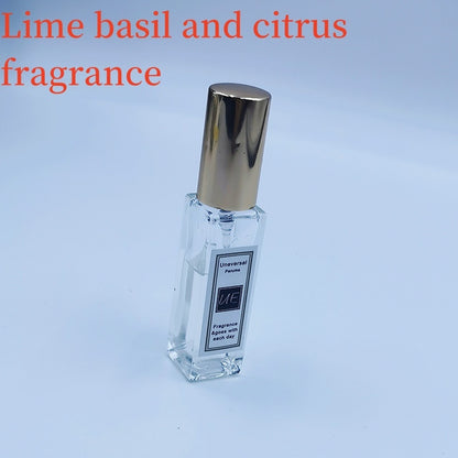 Hot New Items at Buy Center: Car Aromatherapy Fragrant Stone Pendant 10ml Essential Oil Basil and citrus fragrance