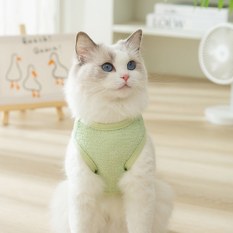 Newly Released at Buy Center: Fashion Hollowed-out Breathable Bear Patch Cat Clothes