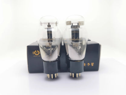 Just Arrived at Buy Center: Creative And Minimalist Home Electronic Tube 6SN7