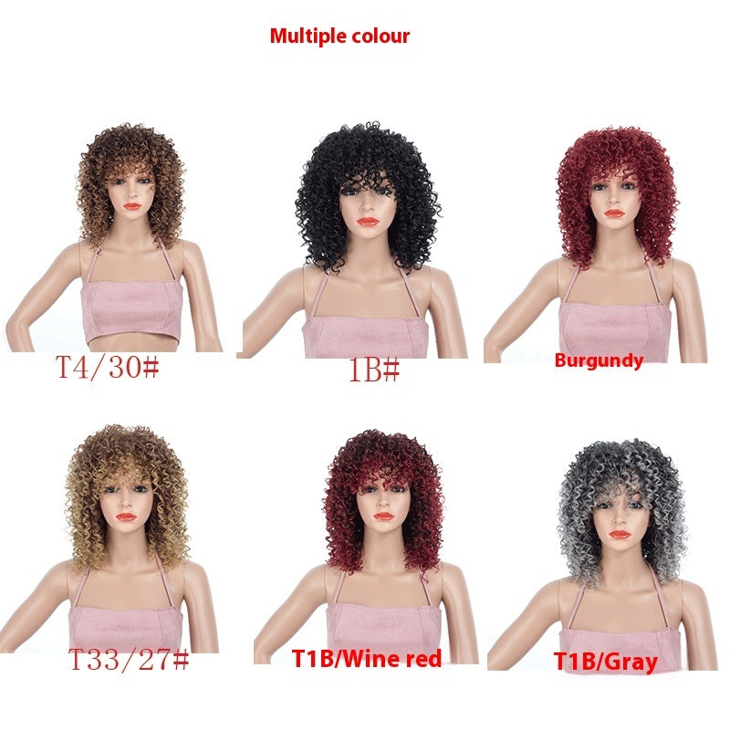 Wig Multicolor African Small Roll Afro Buy Center