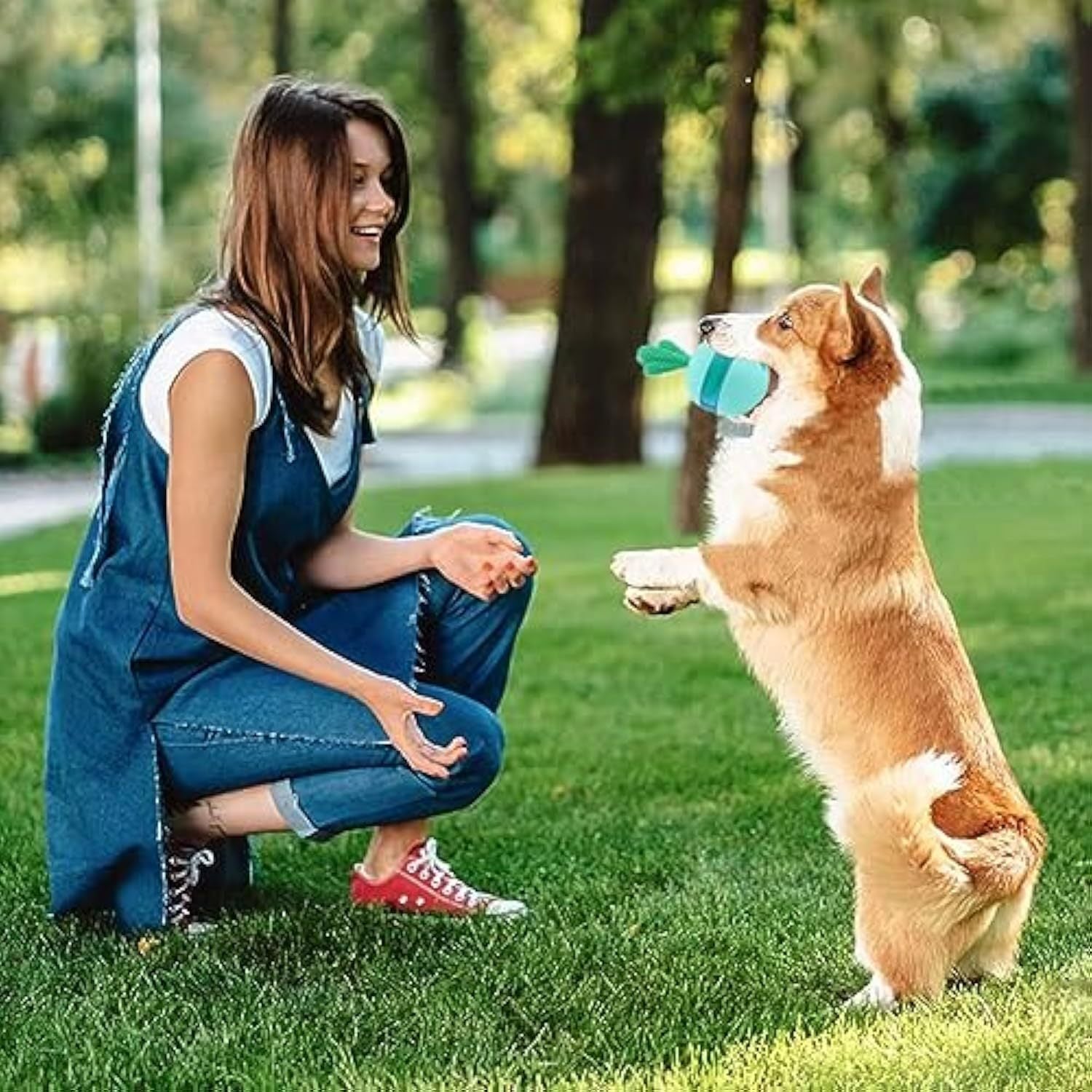 Hot New Arrivals at Buy Center: Interactive Treat Dispensing Dog Toys Different Functions Interactive Dog Puzzle Toys Balls For Medium Large Dogs Dog Treat Toys Dog Puzzle Toys Durable Rubber Dog Chew Toys