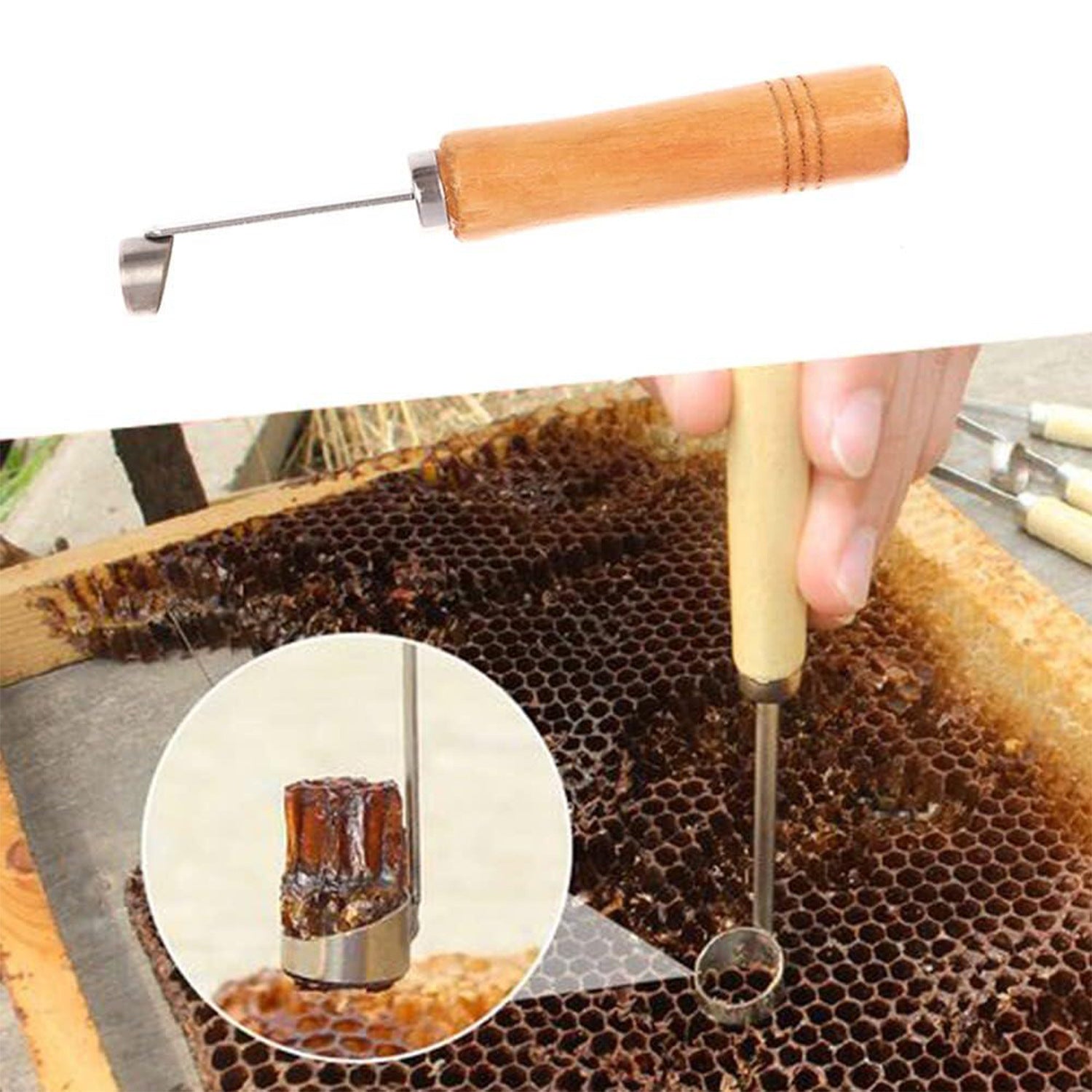 Fresh on the Scene at Buy Center: Artificial Insect Removal Cutting Honeycomb Knife Beekeeping Tools