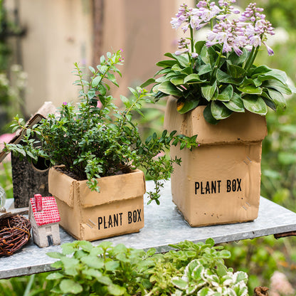 Just Arrived at Buy Center: Cement Brown Paper Box Flowerpot Creative Planting Indoor Balcony