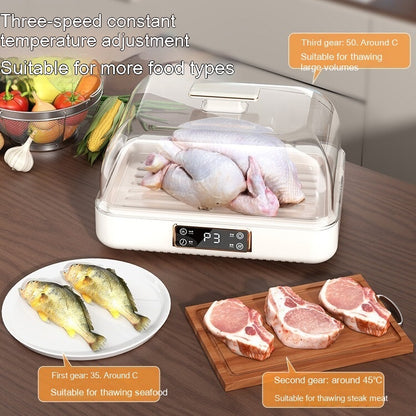 Just Arrived at Buy Center: Constant Temperature Thawing Artifact Meat Steak Heat Transfer Plate Household