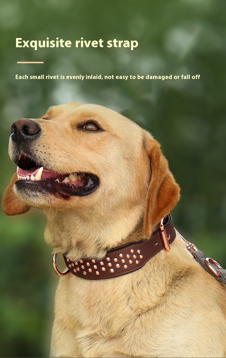 Newly Released at Buy Center: Dog Rivet Collar Anti-bite