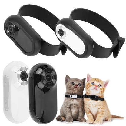 Thumb Pet Camera Cat Collar Pet Camera Buy Center