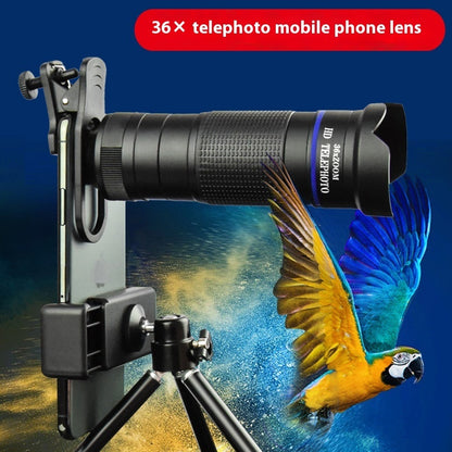 Hot New Arrivals at Buy Center: Mobile Phone External Camera 36x Telephoto Lens Set