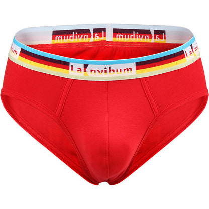 Rainbow Rubber Band Cotton Briefs Buy Center