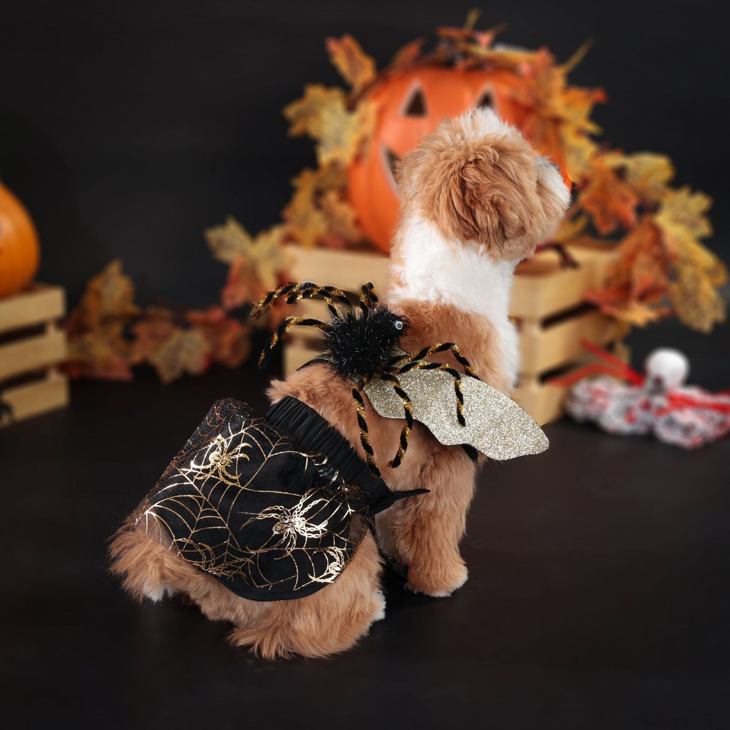 Just Arrived at Buy Center: Pet Clothes Clothes Halloween Party Dog Suit