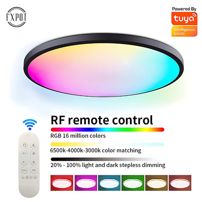 Newly Released at Buy Center: RGBCW Full Color Dimming Smart WiFi Ceiling Lamp