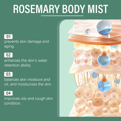 Now Available at Buy Center: Rosemary Body Lotion Dry And Lasting Skin