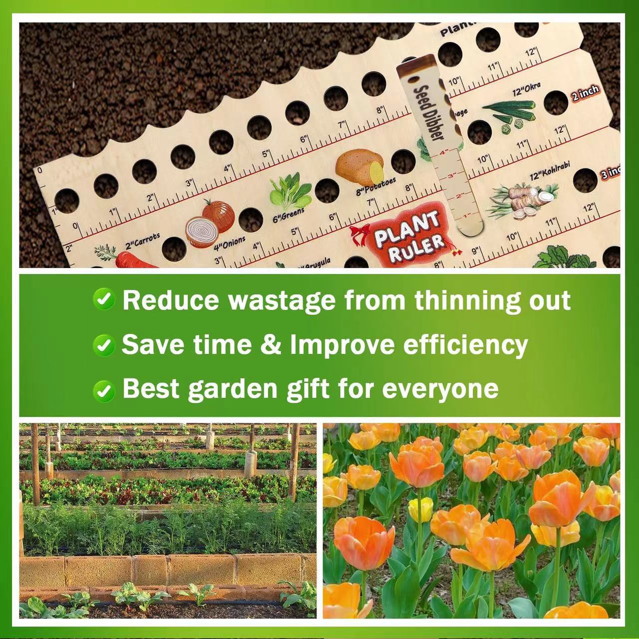 Hot New Items at Buy Center: Garden Wooden Multifunctional Seedling Planting Ruler