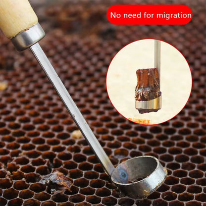 Fresh on the Scene at Buy Center: Artificial Insect Removal Cutting Honeycomb Knife Beekeeping Tools