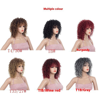 Wig Multicolor African Small Roll Afro Buy Center