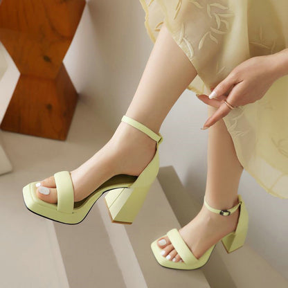 Fresh Arrivals at Buy Center: Women's Chunky Heel High Heel Platform Ankle-strap Buckle Sandals