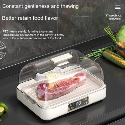 Just Arrived at Buy Center: Constant Temperature Thawing Artifact Meat Steak Heat Transfer Plate Household