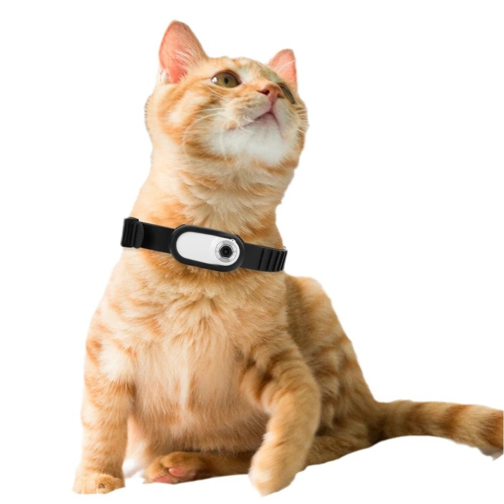 Thumb Pet Camera Cat Collar Pet Camera Buy Center