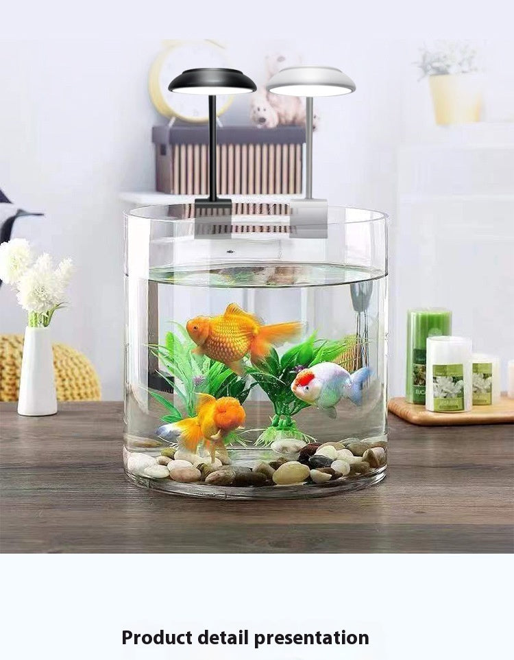 Just Arrived at Buy Center: Fish Tank Small Clip Light Mini Plug Lighting Straw Light Fill Light Transparent Clip Light