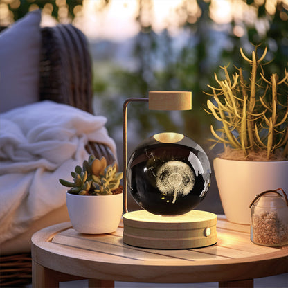 Crystal Ball Cosmic Dinosaur Indoor Night Light USB Power Warm Bedside Light Birthday Gift Night Lamp Dandelions Light wood