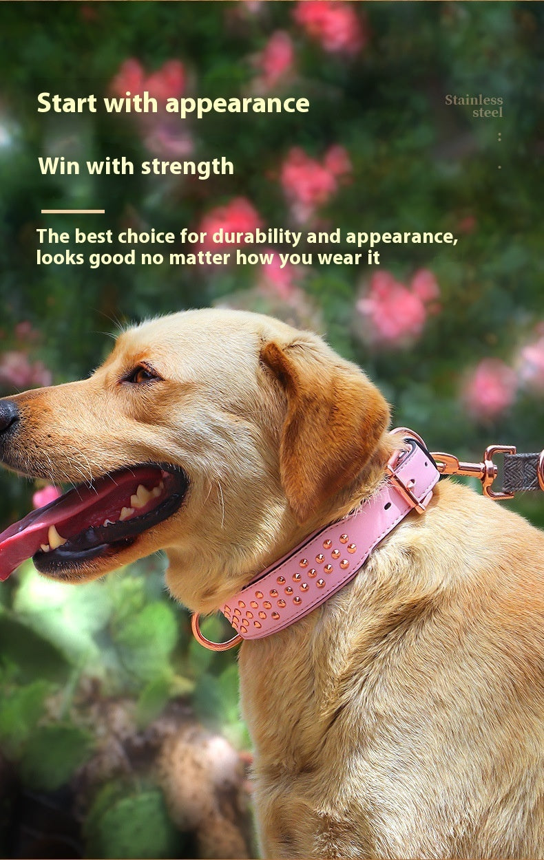 Newly Released at Buy Center: Dog Rivet Collar Anti-bite