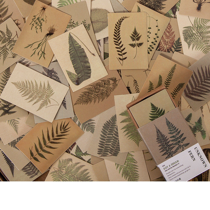 Fresh on the Scene at Buy Center: 100 Pieces Of Retro Small Book Double-sided Notes Mini Card Account Unknown fern